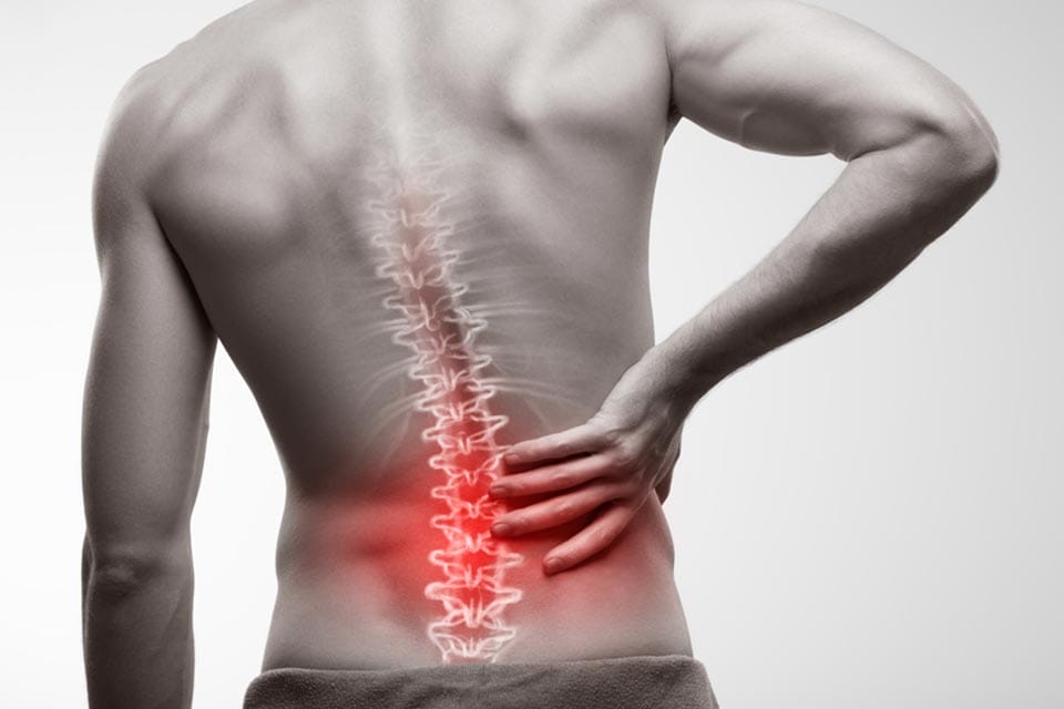 low back pain management